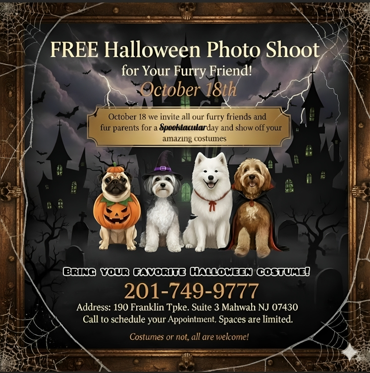 26fd626b-266b-4893-ad3a-426326e1ded5